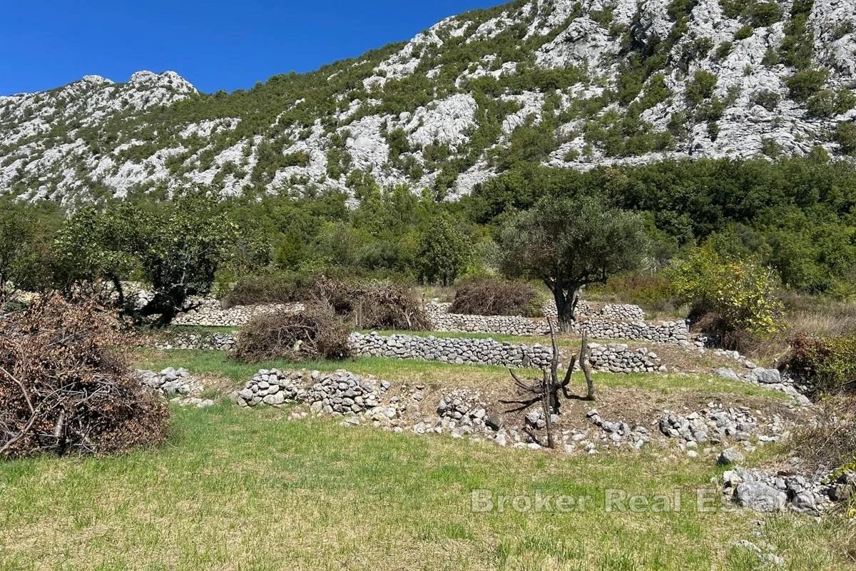 Prostrano građevinsko zemljište na mirnoj lokaciji - Omiš