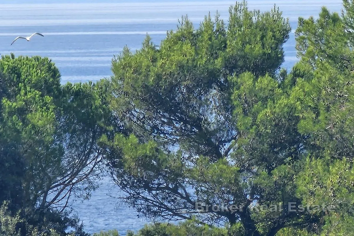 penthouse apartman u blizini plaže i centra - slika 14
