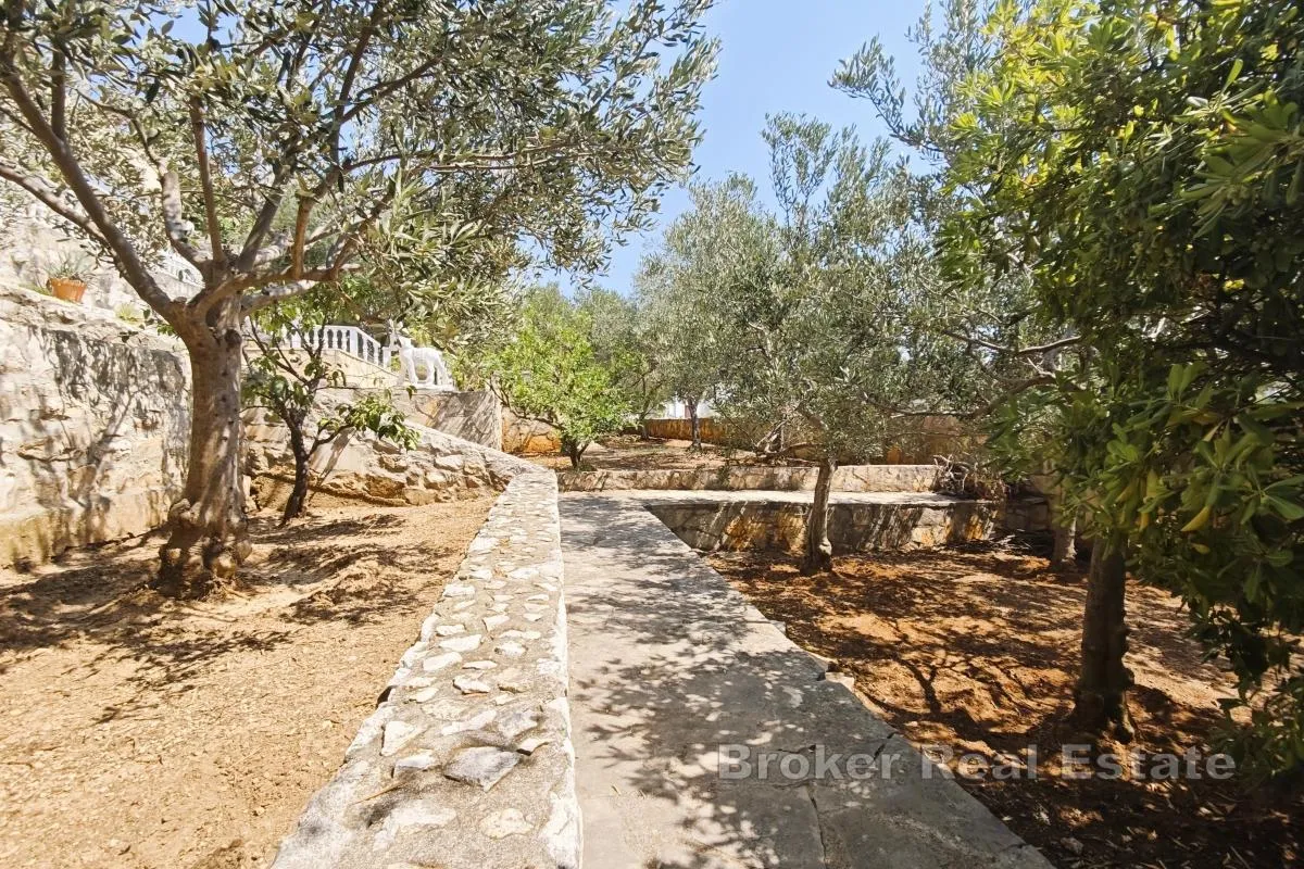 vila s bazenom i maslinikom, 70 m od mora - slika 20