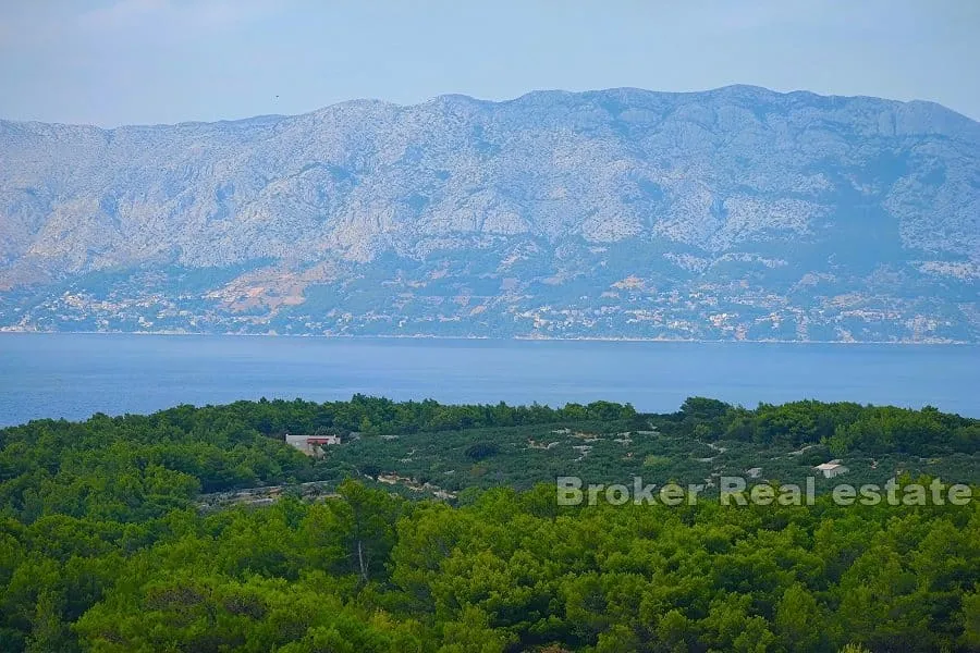 Poljoprivedno zemljište s pogledom na more - Brač, Brač