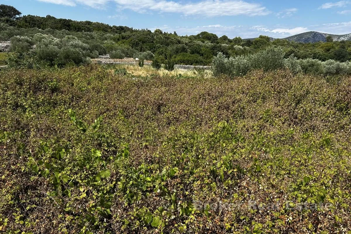 građevinsko zemljište s pogledom na more - slika 6