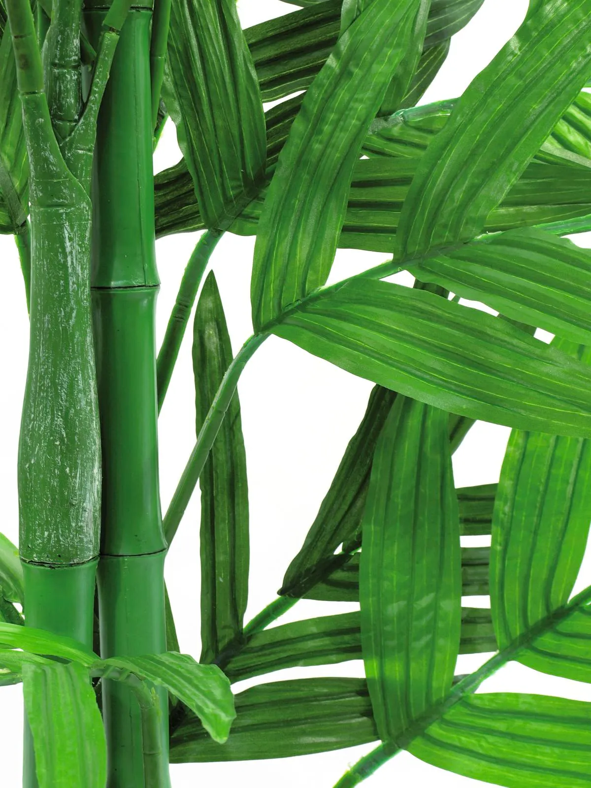 europalms areca palm tree, 230cm - slika 2
