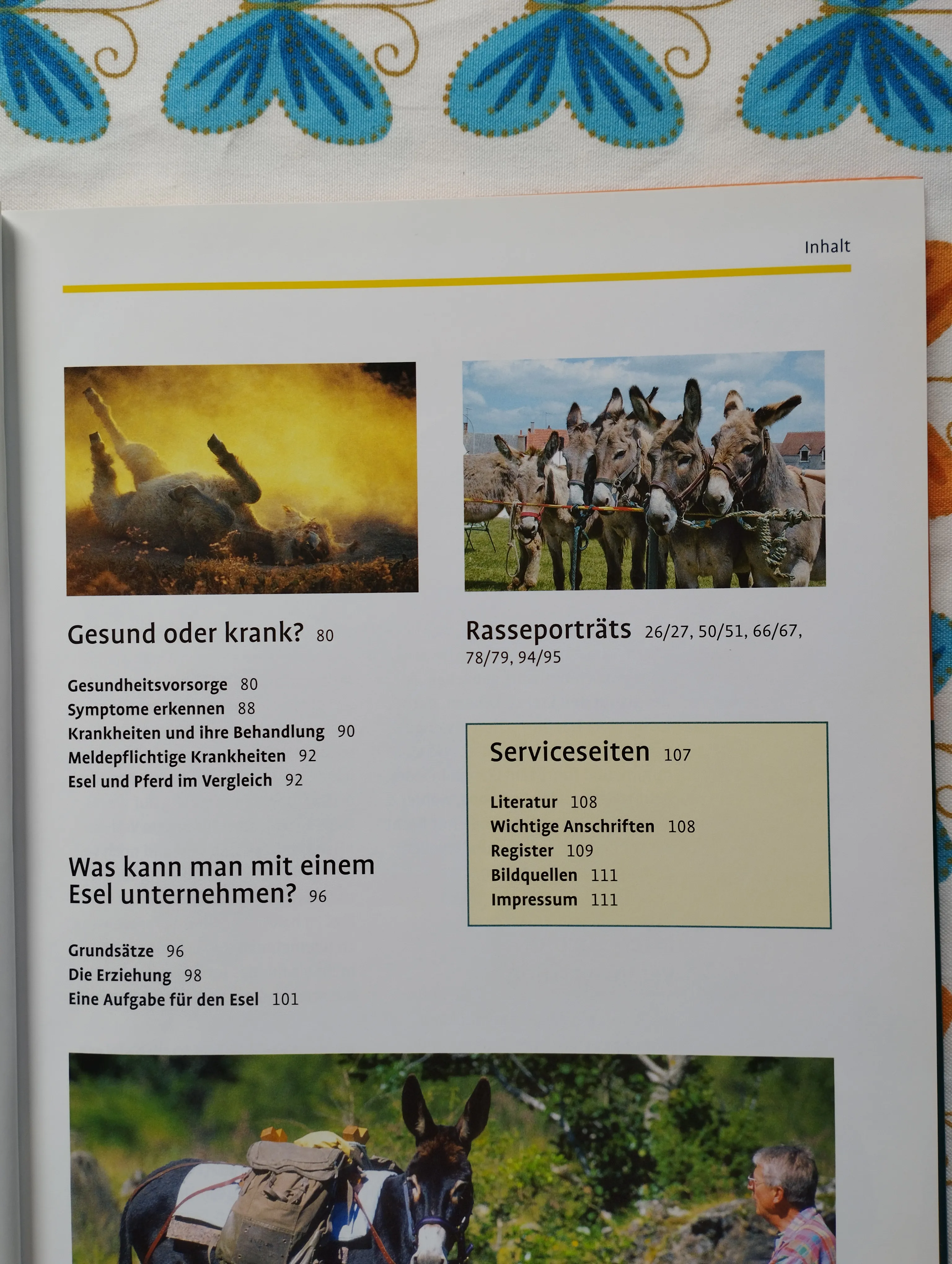 magarac - esel - 3 naslova na njemačkom jeziku - slika 10