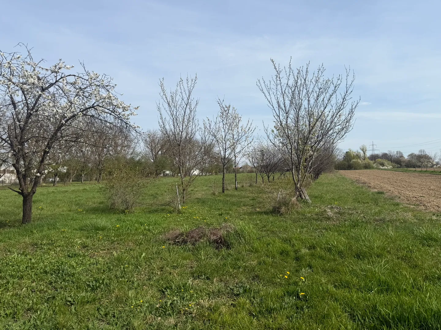 prodaja građevinskog zemljišta s kućom i radionom, rugvica (dragošička), 2027m2 - slika 15