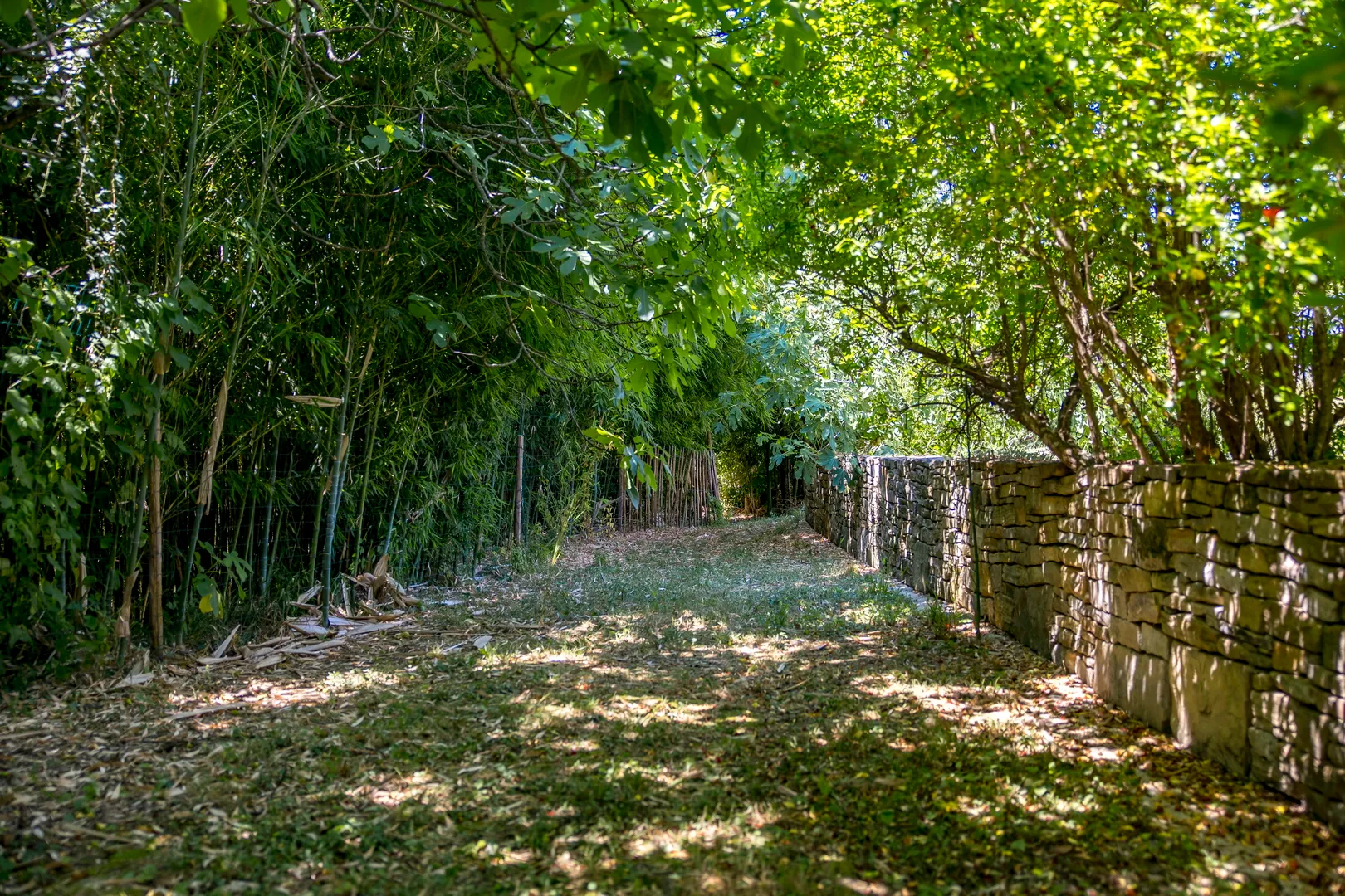 istra,imanje na prodaju, oaza mira priroda i privatnost na površini od 20 000 m2 - slika 9