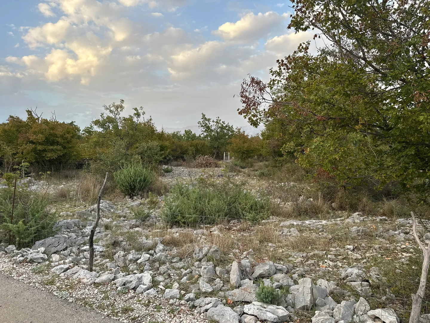 zadar, posedarje slivnica građevinsko zemljište 1056m² - slika 4