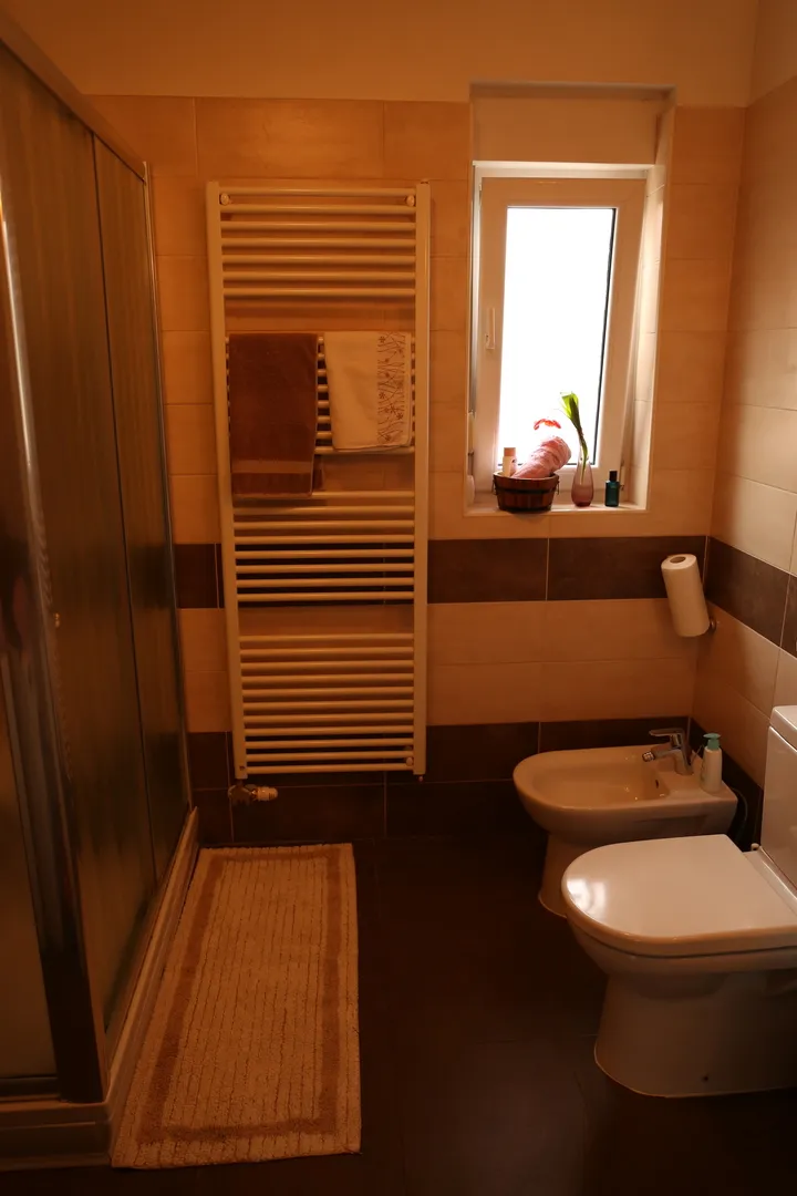 maksimir, investicija-dvojna kuća za adaptaciju, 322 m2 - slika 10