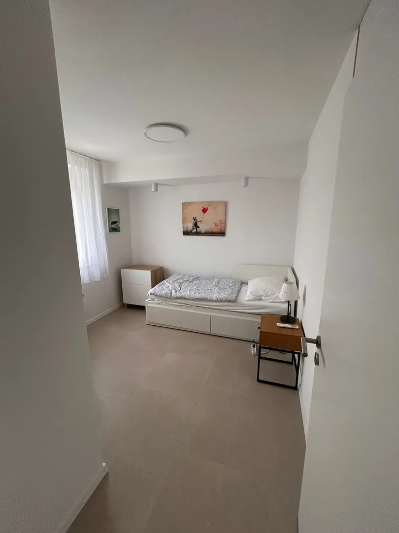 penthouse s krovnom terasom, 100 m od mora, privlaka - zadar - slika 17