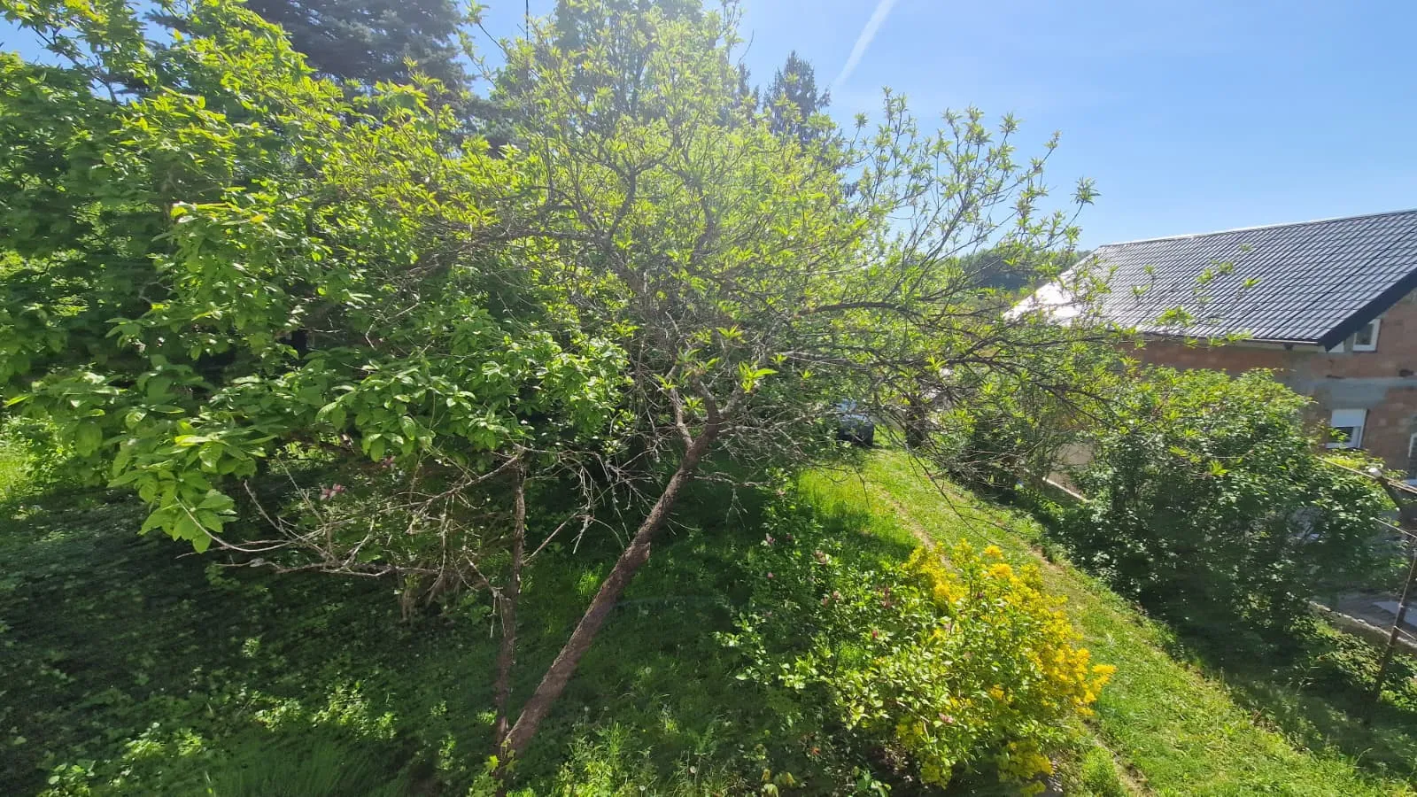 sveti ivan zelina, blaškovec, kuća nadomak zagreba, 54m2+ 2200m2 okućnice - slika 13