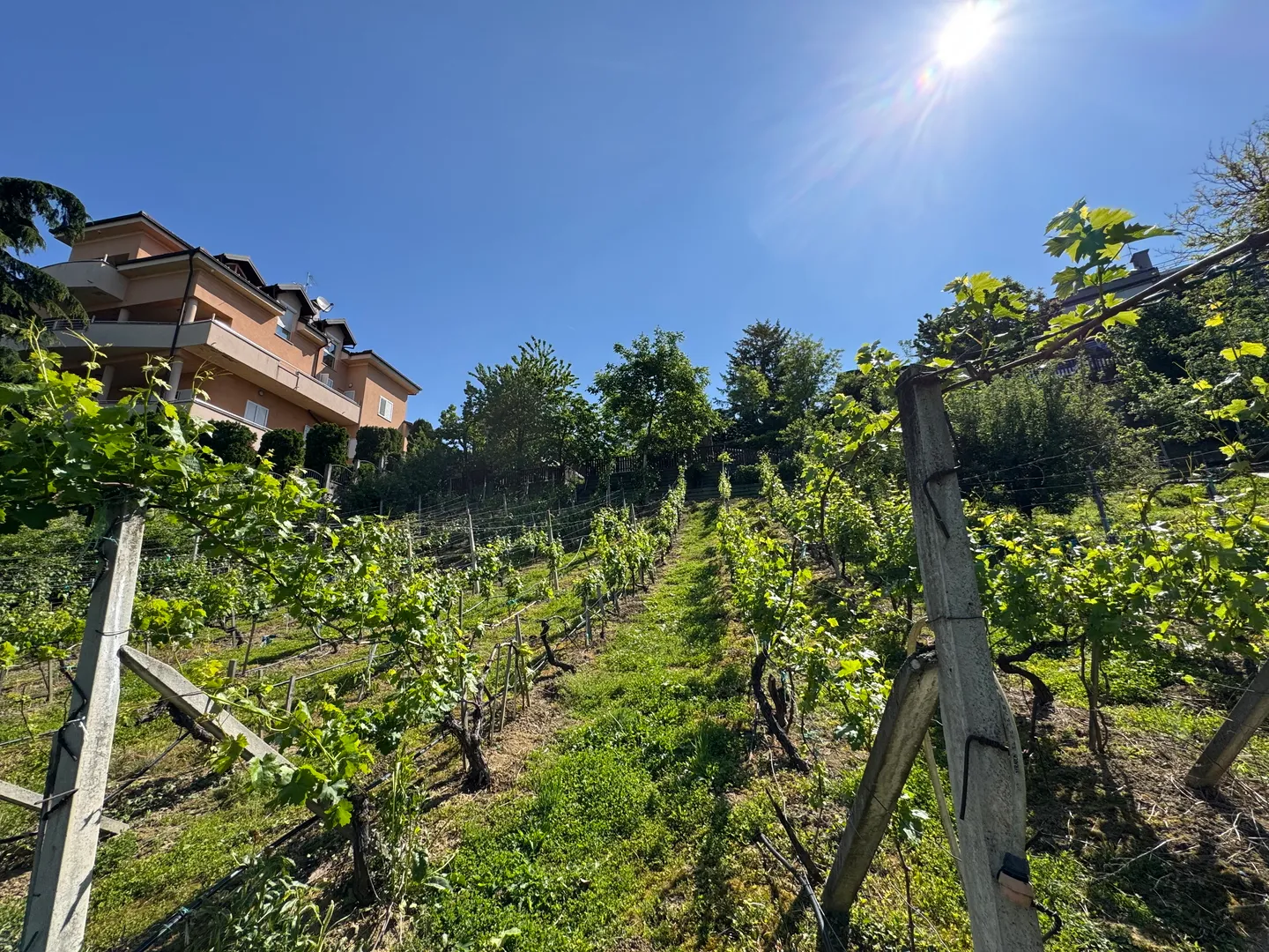 zagreb, gornje vrapče, građevinsko zemljište 2575m2 - slika 8