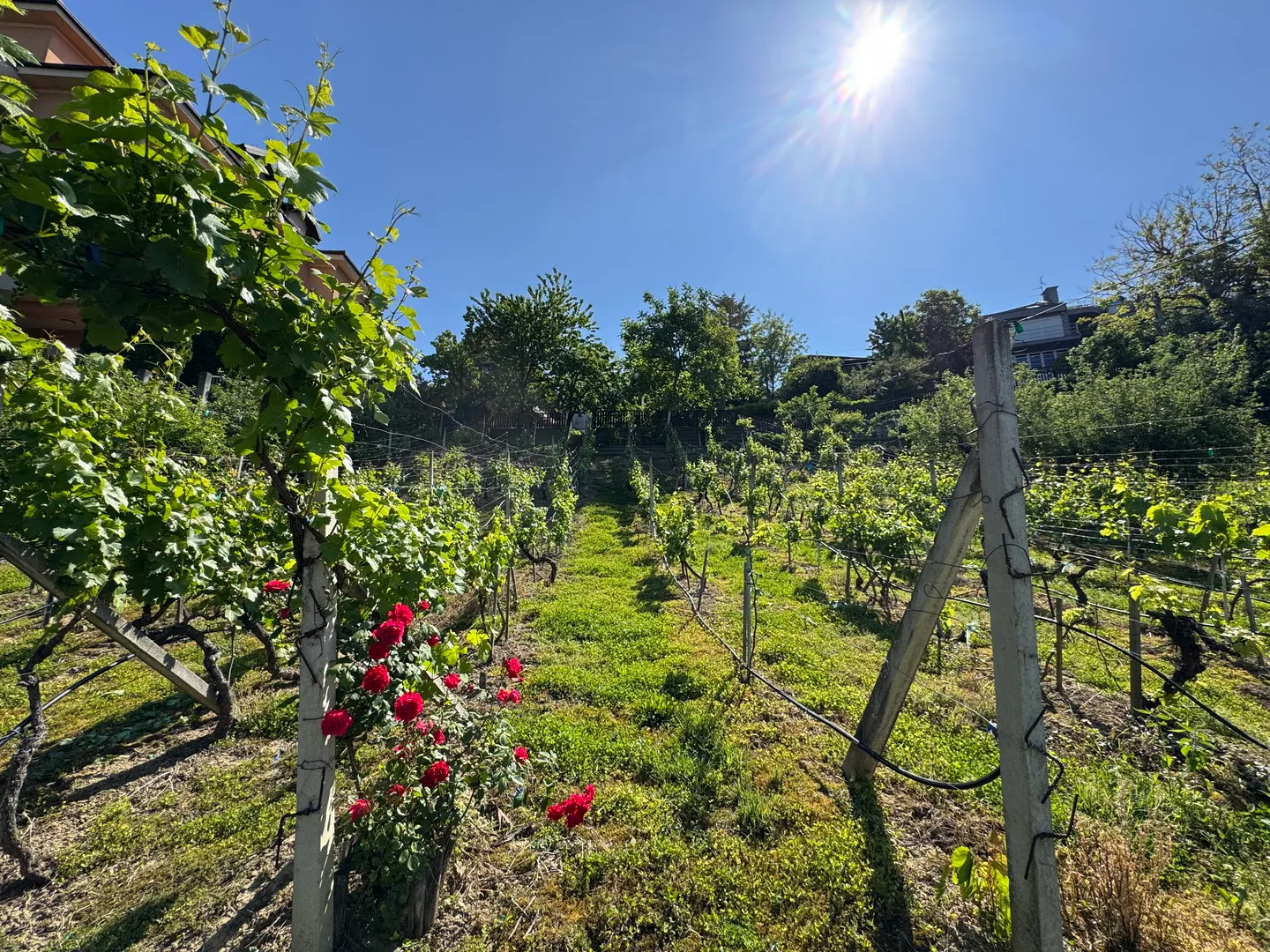 zagreb, gornje vrapče, građevinsko zemljište 2575m2 - slika 7