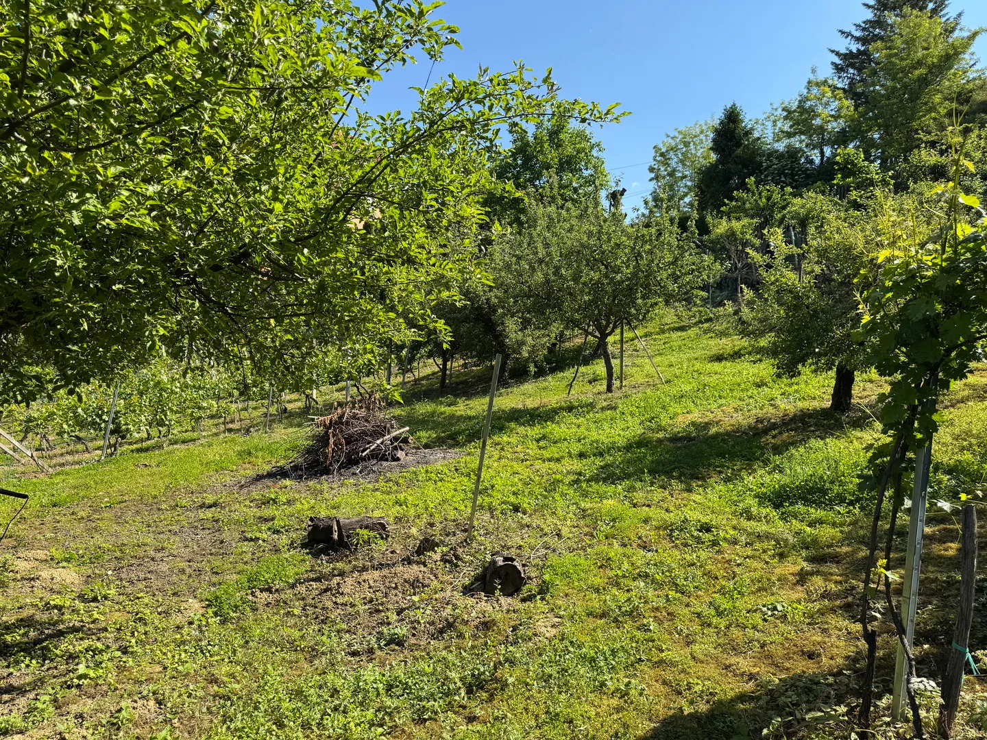 zagreb, gornje vrapče, građevinsko zemljište 2575m2 - slika 10