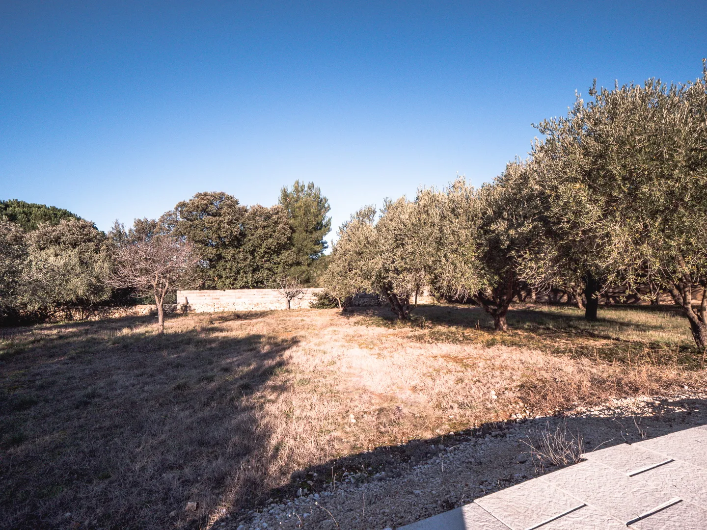 hrvatska, zadar, vir – samostojeća kuća s 2 bazena, zemljištem od 2.522 m² i raznovrsnim mogućnostima korištenja - slika 31