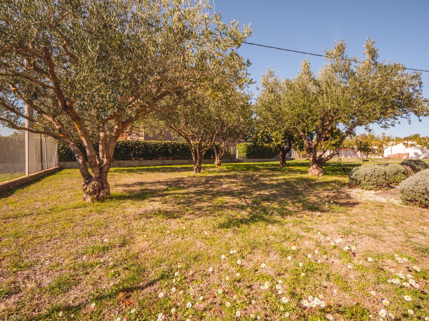 hrvatska, zadar, briševo – dvojnica s velikom okućnicom i dva stana, mirna lokacija, 1.216 m² - slika 29