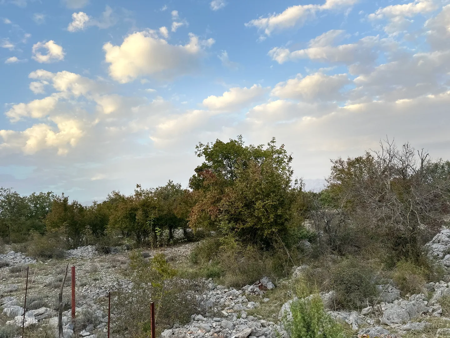 zadar, posedarje slivnica građevinsko zemljište 1056m² - slika 5