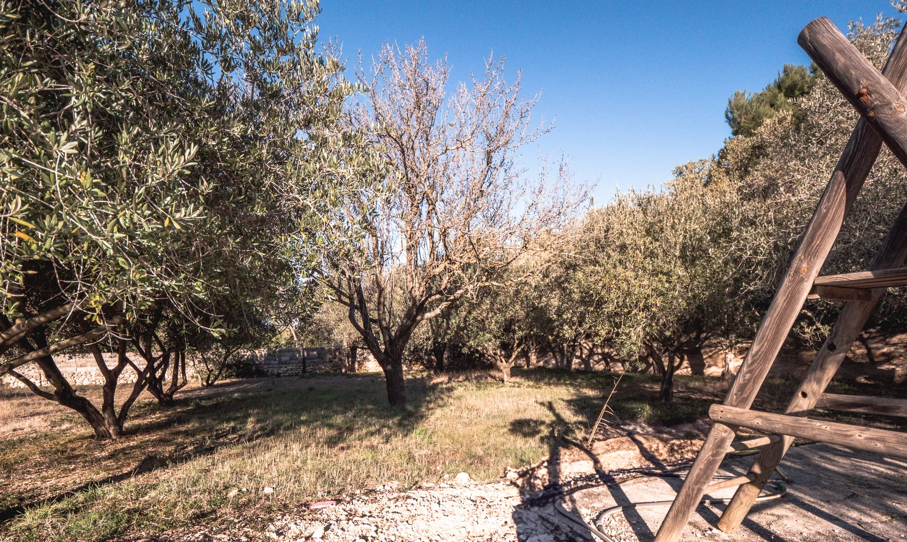 hrvatska, zadar, vir – samostojeća kuća s 2 bazena, zemljištem od 2.522 m² i raznovrsnim mogućnostima korištenja - slika 32