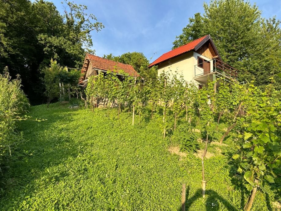 klijet sa zemljištem 710 m2 - slika 5