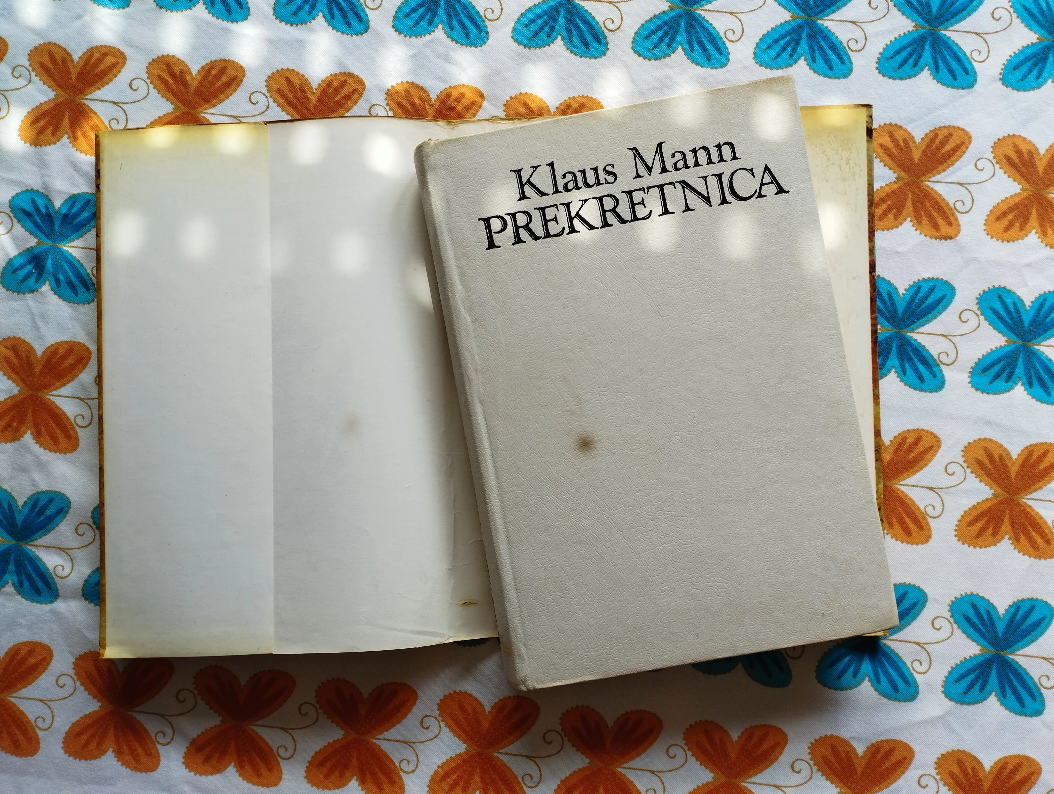 klaus mann - prekretnica - slika 5