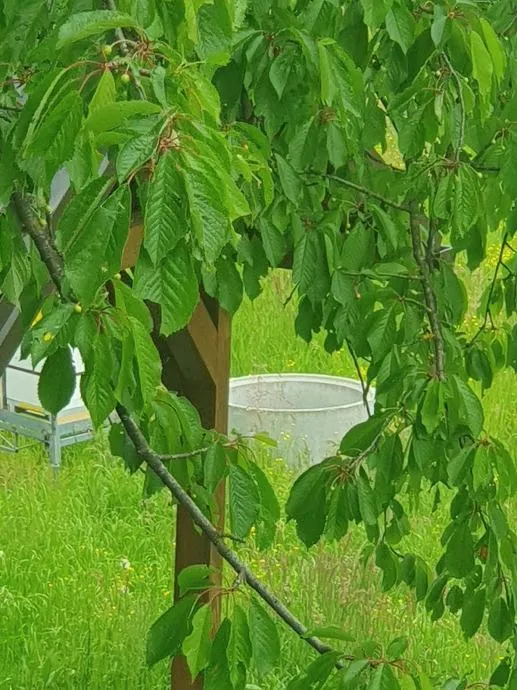 atraktivno građ. zemljište, stubičke toplice, strmec stubički, 8600 m2 - slika 7