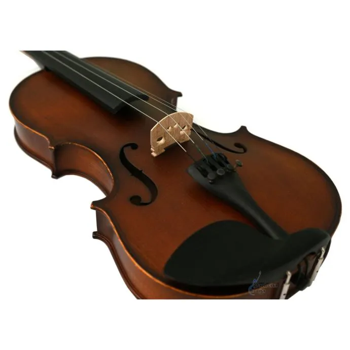 jq jvn-01a 4/4 violina - slika 4