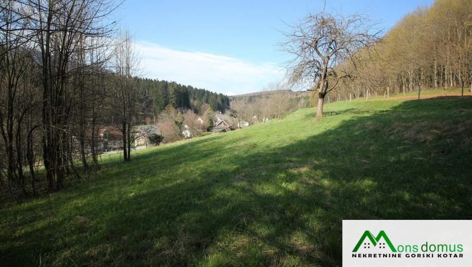 s pogledom na crnogoričnu šumu - slika 2