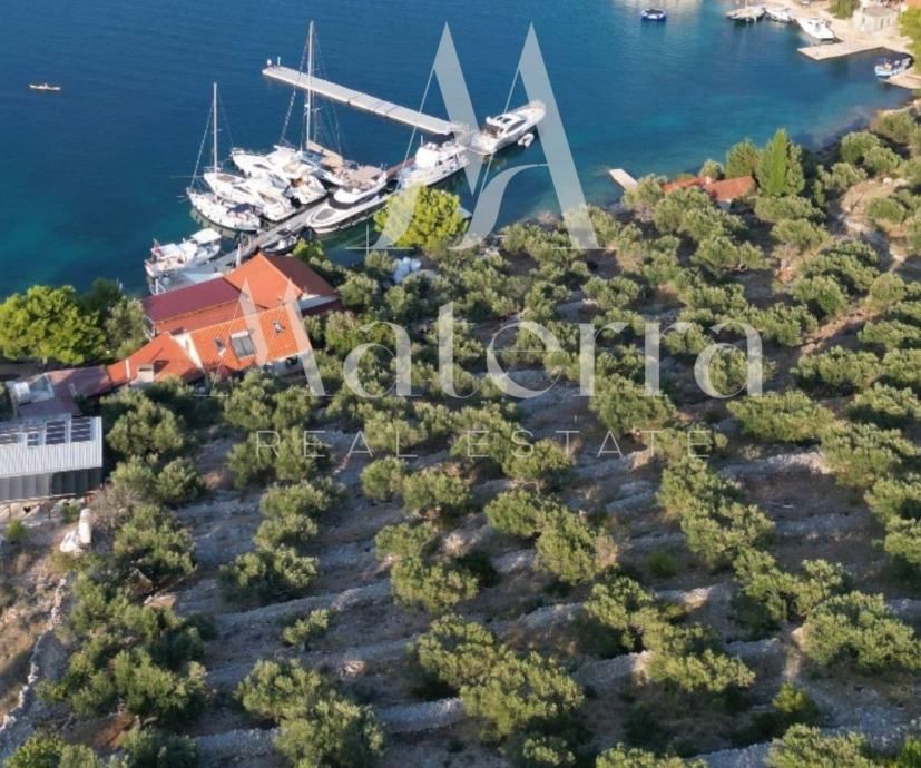 kornatski arhipelag - uhodani restoran, kuća, maslinik preko 50 000m2 - slika 4