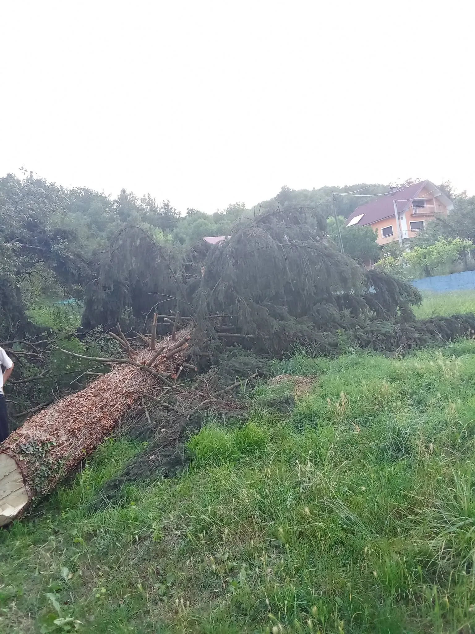 🌿 trebaš uredan i njegovan vrt bez muke? 🌿 - slika 10