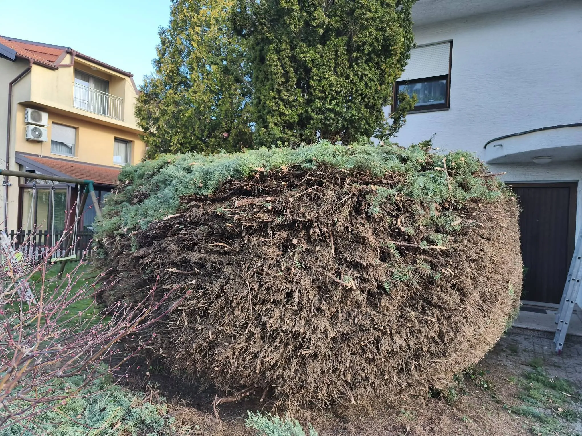 🌿 trebaš uredan i njegovan vrt bez muke? 🌿 - slika 3