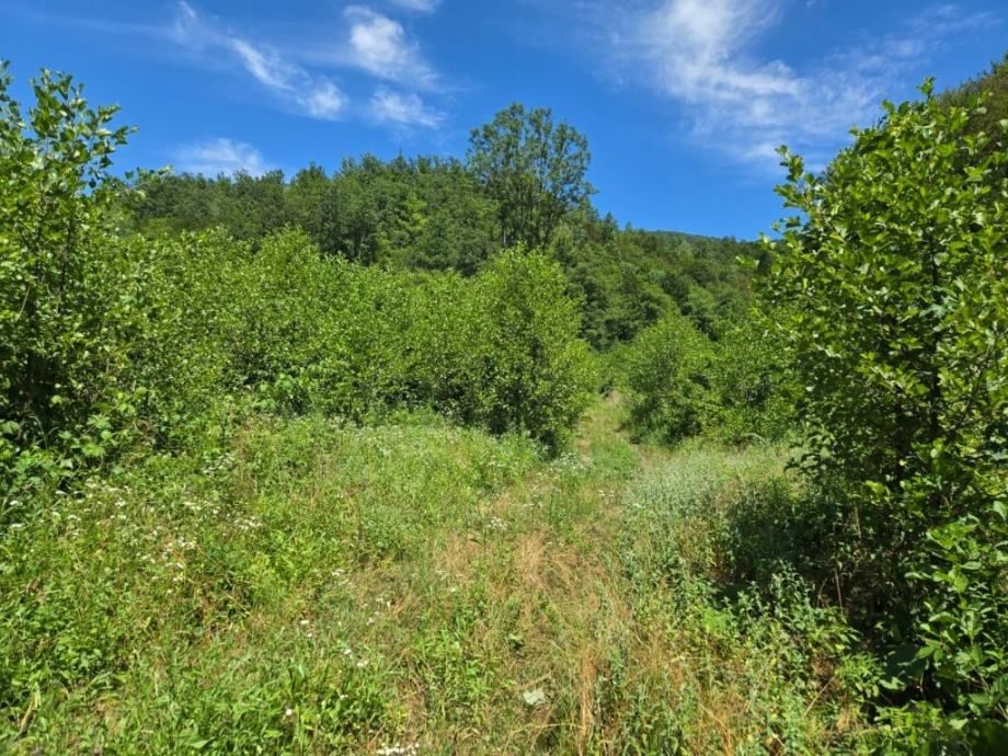 gorski kotar, vrbovsko, zemljište uz rijeku dobru - slika 3