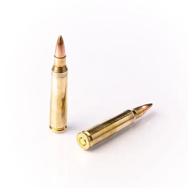 Karabinsko streljivo FIOCCHI .223 Rem. FMJ 55gr - Poreč