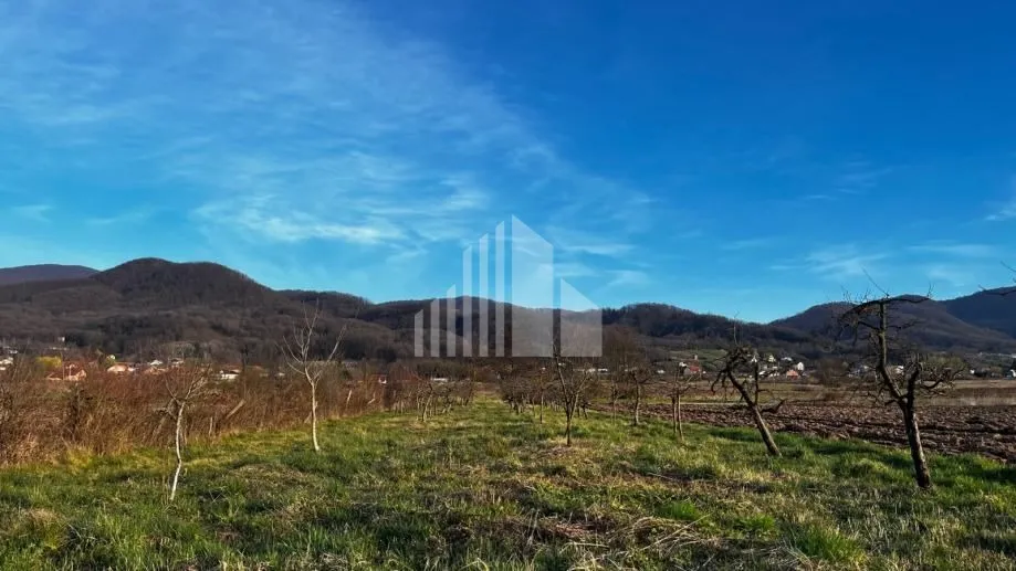 prodaja poljoprivrednog zemljišta, 4328m2, k.o. donja bistra - slika 4