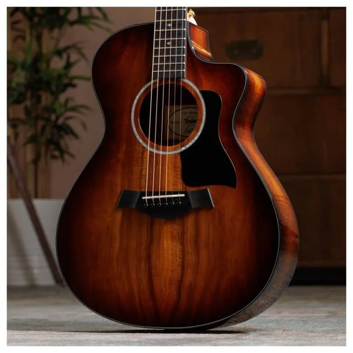 taylor 222ce-k dlx - slika 11