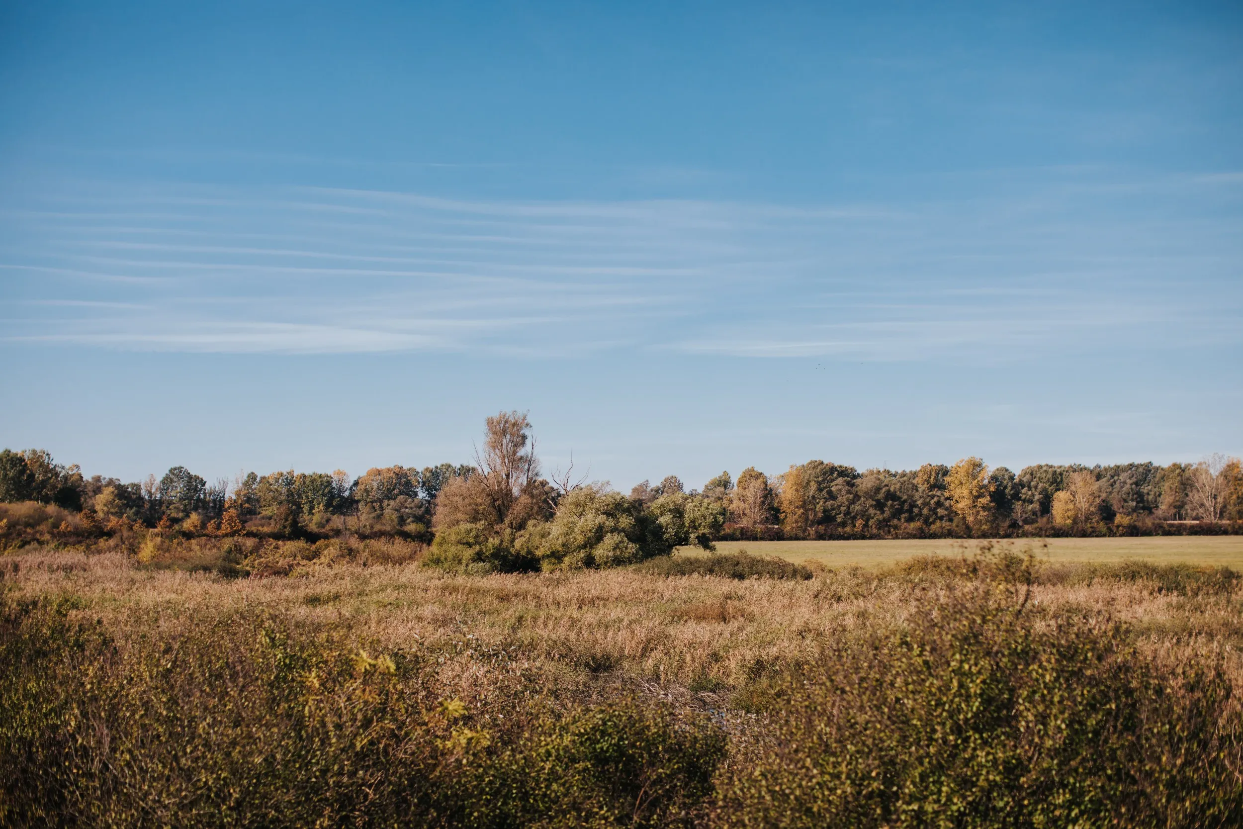 lonjsko polje - pješačke staze i vidikovci - slika 2