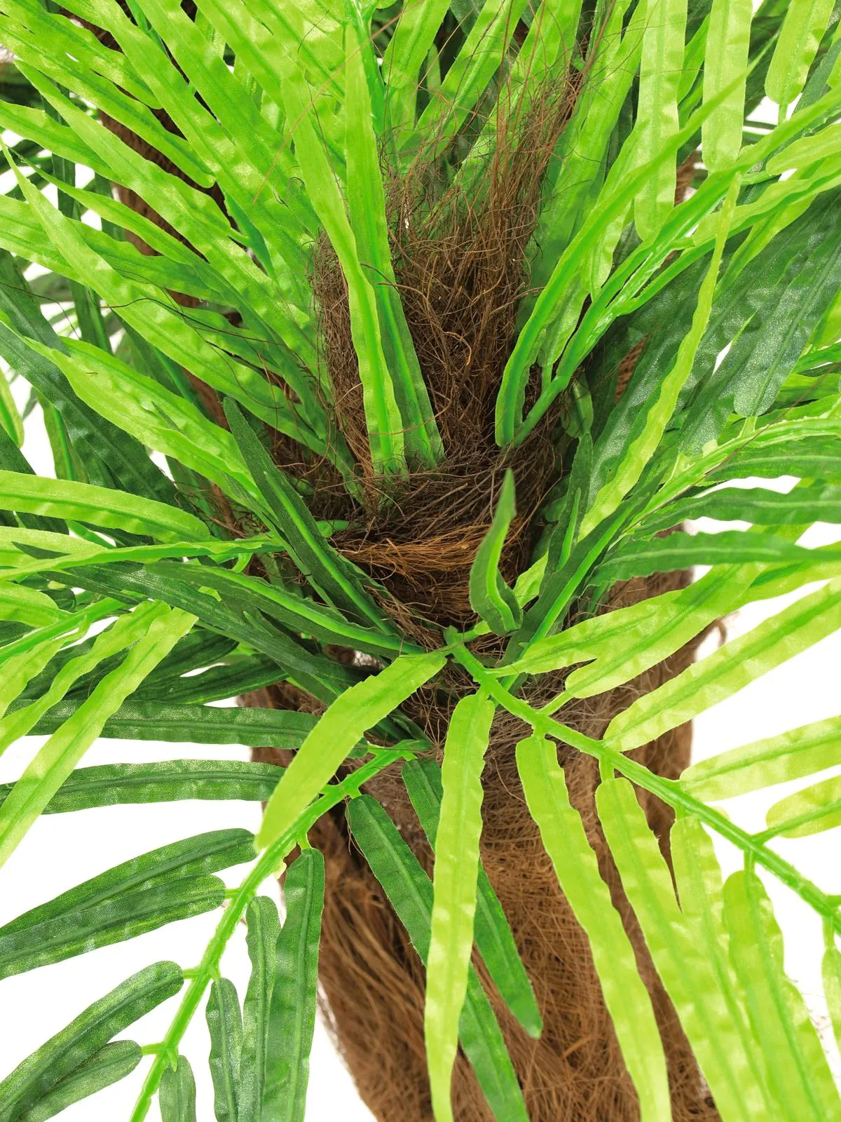 europalms areca palm tree, 120cm - slika 2
