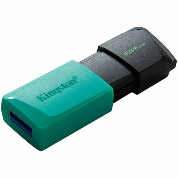 mem ufd 256gb dtxm kin - slika 2