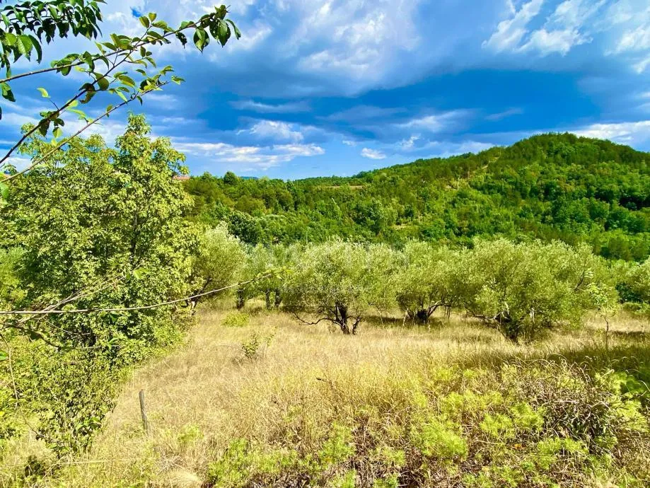 prilika! građ. zemljište, istra-draguć, 2257m2 - slika 3