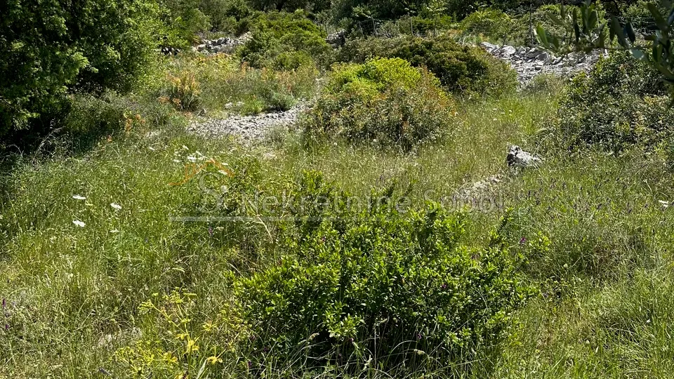 ćunski, otok lošinj - građevinsko, 630 m2 prodaja - slika 3