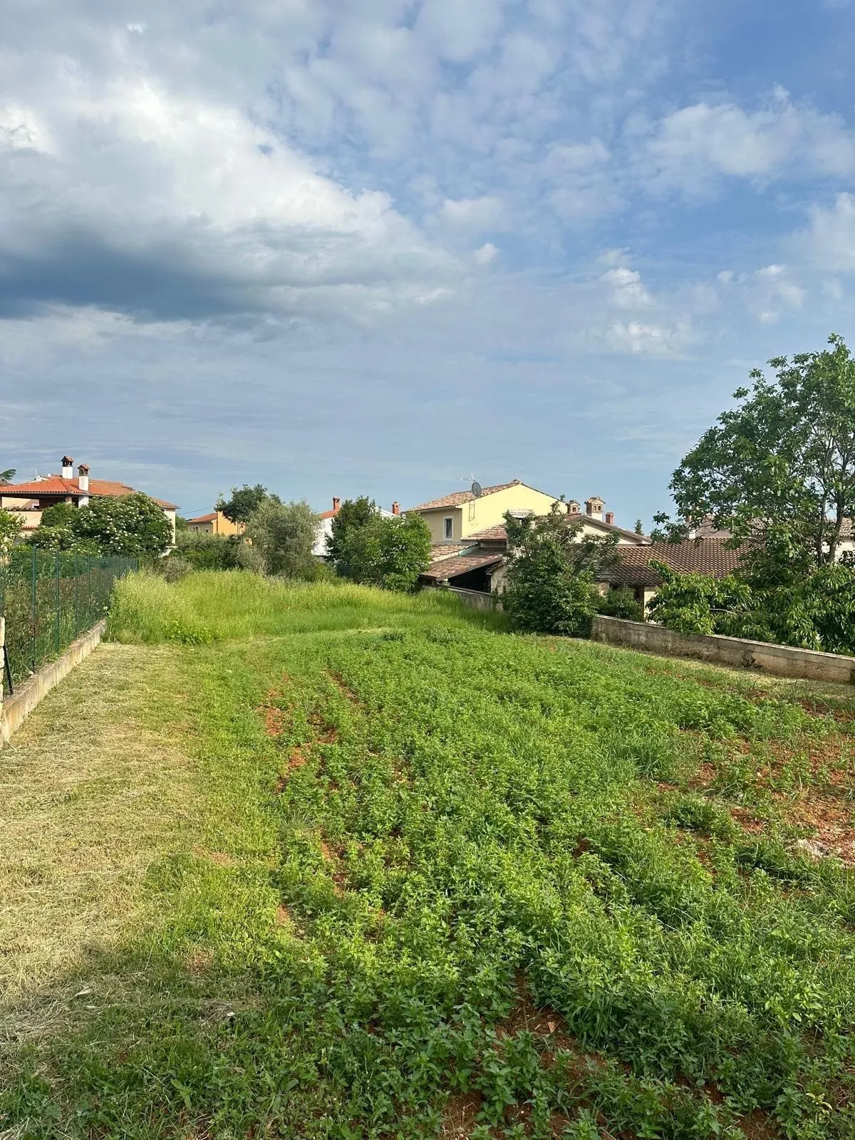 rovinj okolica-dvije kamene kuće sa dvorištem za adaptaciju (prodaja) - slika 13
