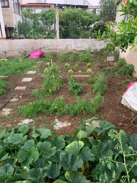 prodaja kuće i građevinskog zemljišta - slika 9