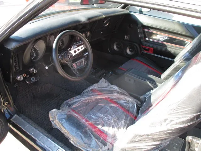 mustang mach 1,429cj - slika 10