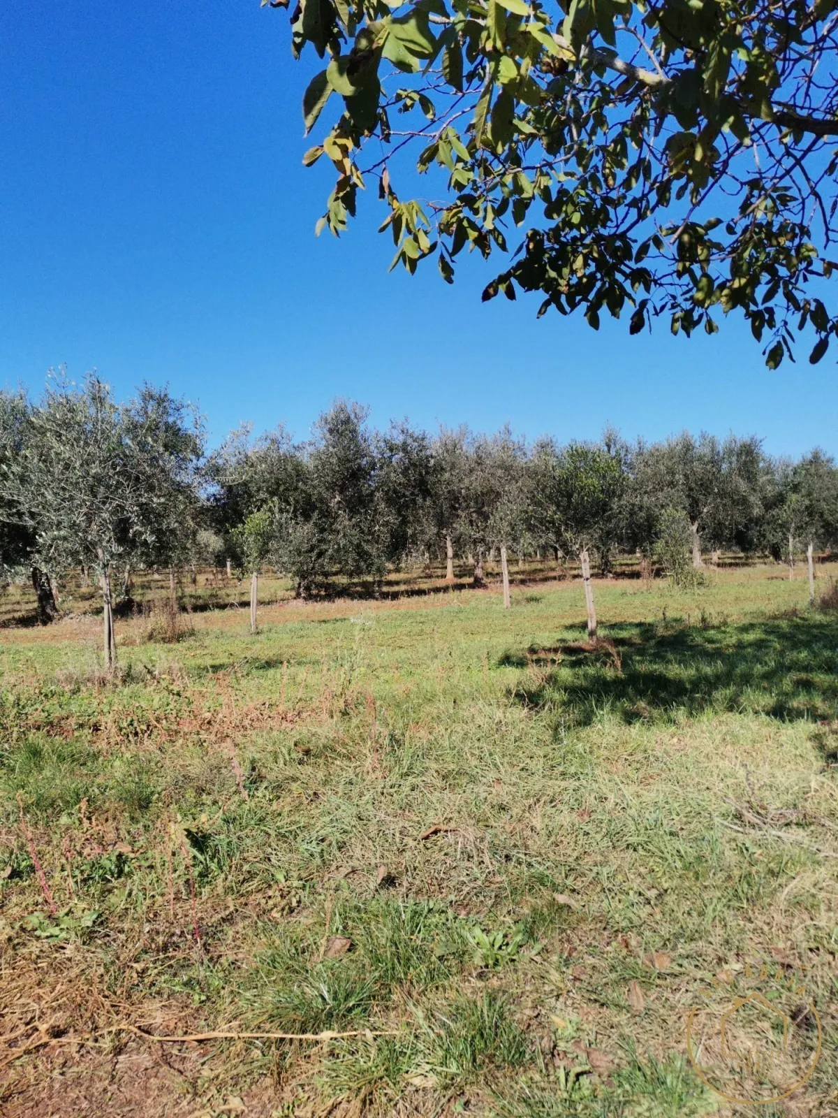 Poljoprivredno zemljište, Kršin - Novigrad