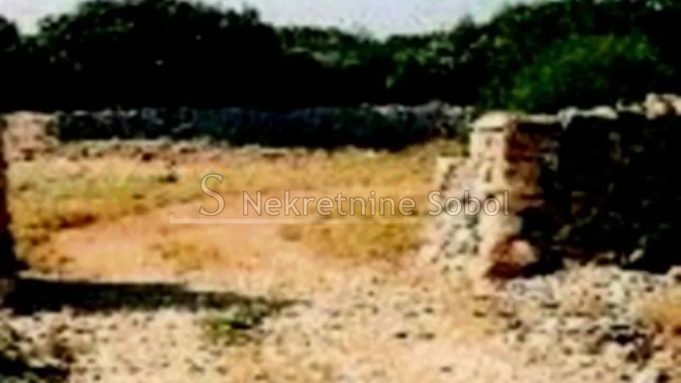 Cres, Punta Križa - Poljoprivredno, 19950 M2 Prodaja - Punta Križa, Mali Lošinj