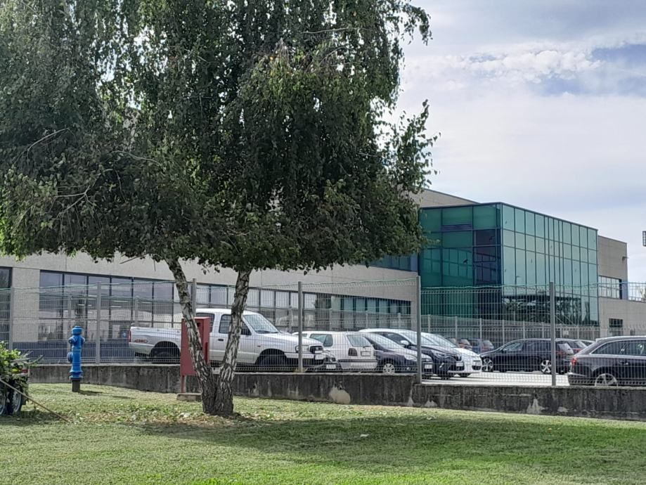 šišanje i oblikovanje živica 095/333-4444 - slika 11