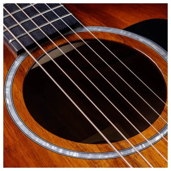 taylor 222ce-k dlx - slika 4
