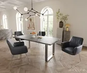 blagovaonska stolica s rukonaslonom xana, materijal: koža - slika 5