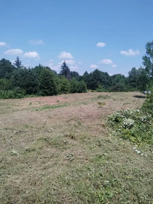 sniženo građevinsko zemljište, drežnik grad, 28.000 m2 - slika 5