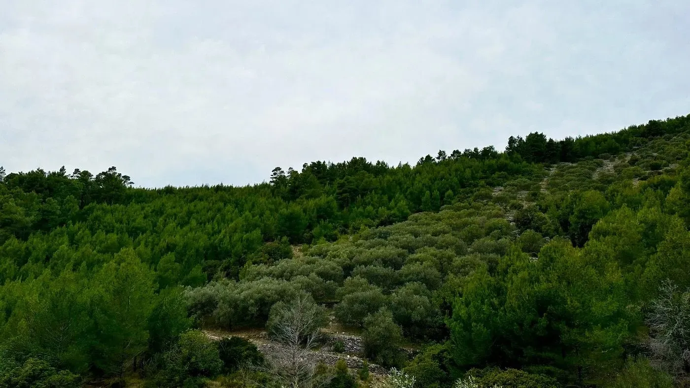 poljoprivredno zemljište na prodaju - blato - slika 7