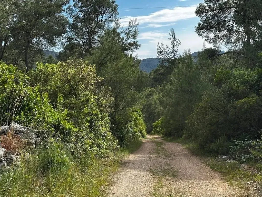 poljoprivredno zemljište na prodaju - vela luka - slika 17