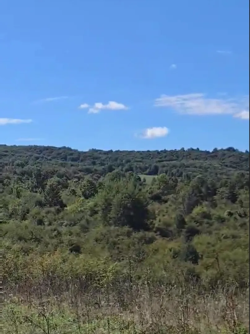 tržić primišljanski, zemljište 77.083m2, idealno za seoski turizam i ljubitelje prirode! - slika 4
