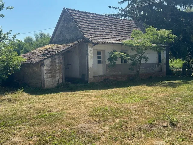 Prodaja, Kuća za rušenje s okućnicom površine 3110m2, PRILIKA! - Bilje